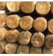 Rondin fraisé Ø 12 cm L. 2,00 m en bois autoclave